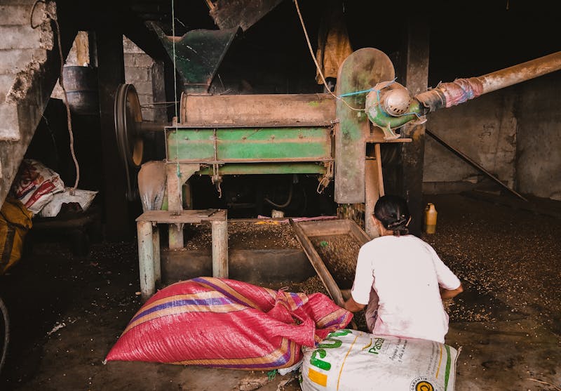 Food Processing Machines